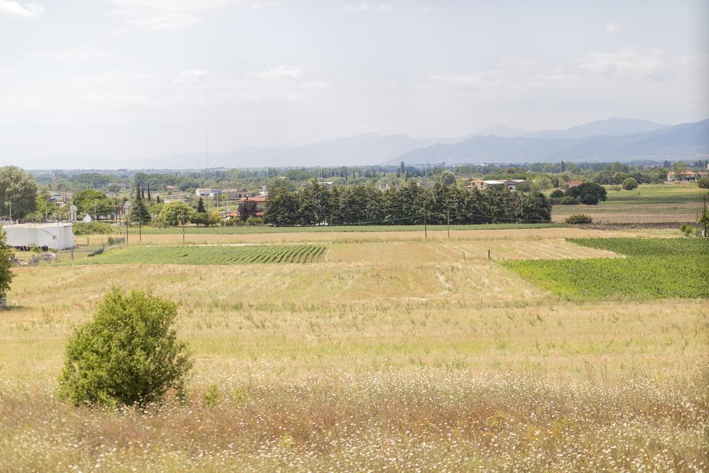 Casagreek Komotini B&B 외부 사진
